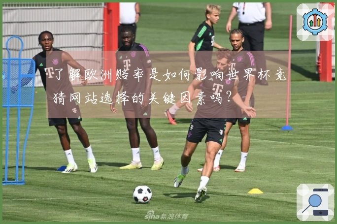 了解欧洲赔率是如何影响世界杯竞猜网站选择的关键因素吗？