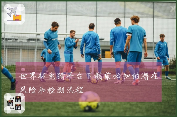 世界杯竞猜平台下载前必知的潜在风险和检测流程